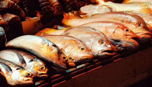 4 Tips Memilih Ikan yang Masih Segar, Lihat Sisik dan Insangnya